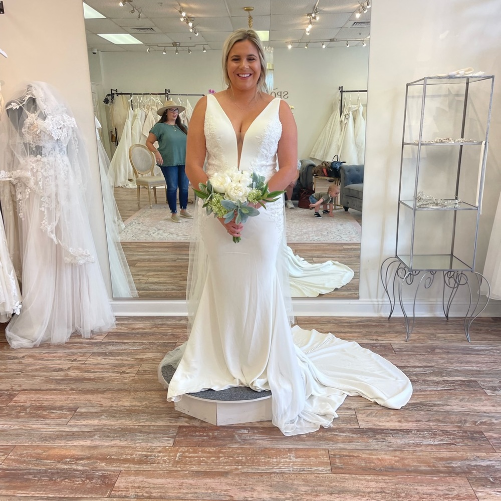 Wedding Dress with Cathedral Veil